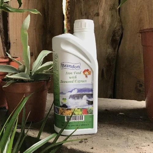 Brandon Iron Feed With Irish Seaweed Extract