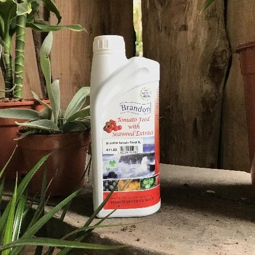 Brandon Tomato Food With Irish Seaweed Extract - Image 2