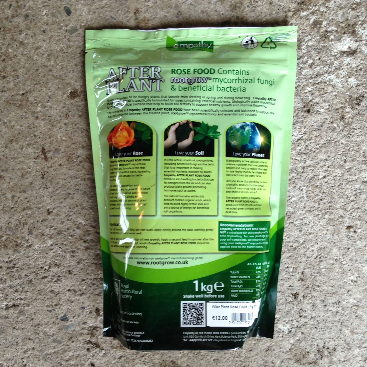 RHS Empathy Afterplant - Rose - Image 2